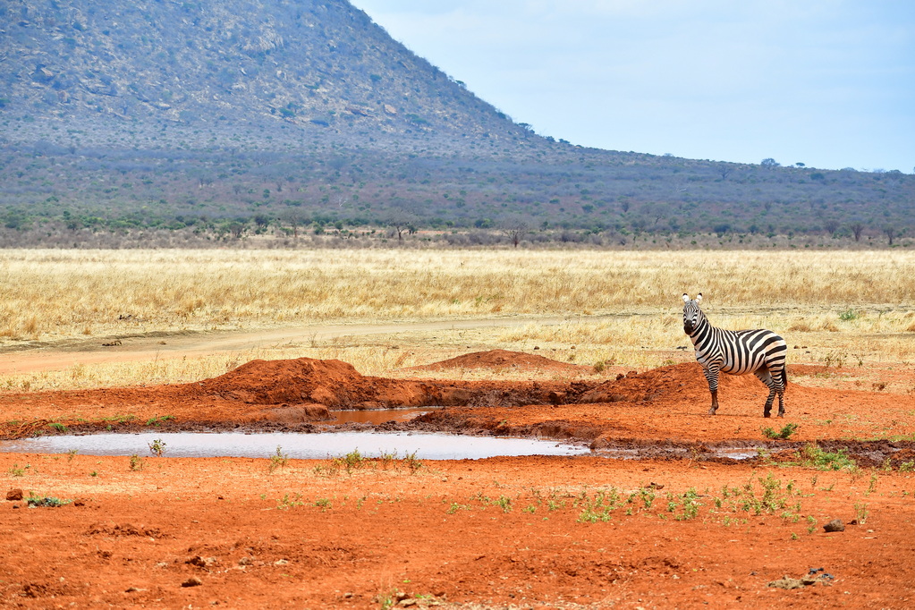 Tsavo East National Park